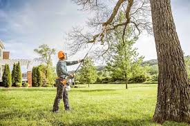 Best Tree Health Inspection  in Indian River Shores, FL